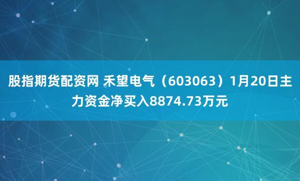 股指期货配资网 禾望电气（603063）1月20日主力资金净买入8874.73万元