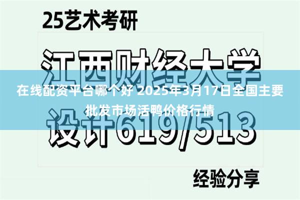 在线配资平台哪个好 2025年3月17日全国主要批发市场活鸭价格行情