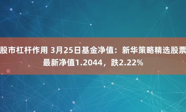 股市杠杆作用 3月25日基金净值：新华策略精选股票最新净值1.2044，跌2.22%