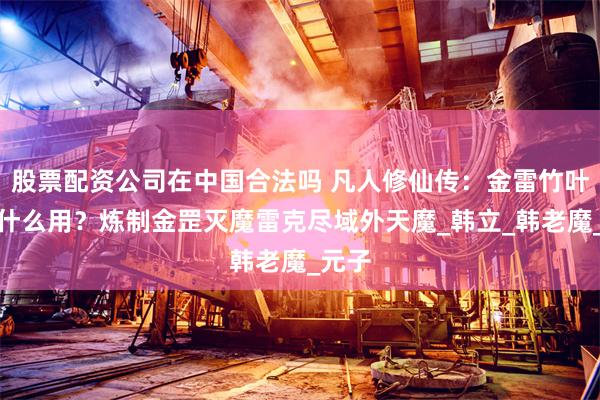 股票配资公司在中国合法吗 凡人修仙传：金雷竹叶子有什么用？炼制金罡灭魔雷克尽域外天魔_韩立_韩老魔_元子