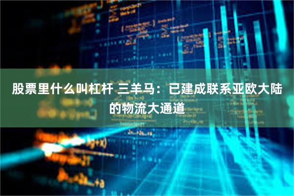股票里什么叫杠杆 三羊马：已建成联系亚欧大陆的物流大通道
