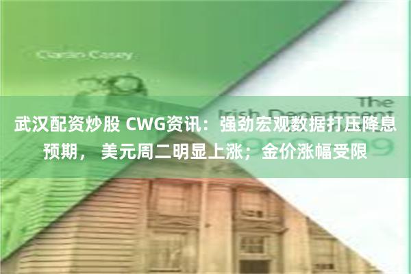 武汉配资炒股 CWG资讯：强劲宏观数据打压降息预期， 美元周二明显上涨；金价涨幅受限